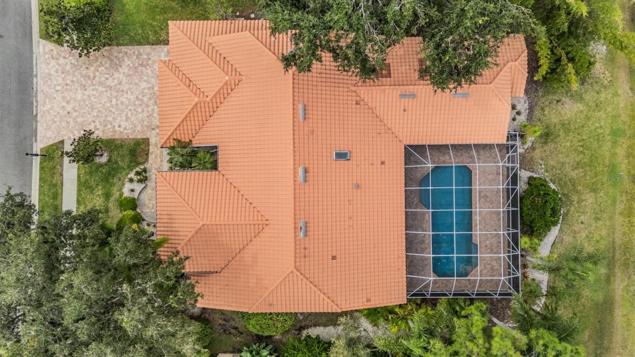 1244 Greybrooke Place, Oldsmar, FL 34677 Photo