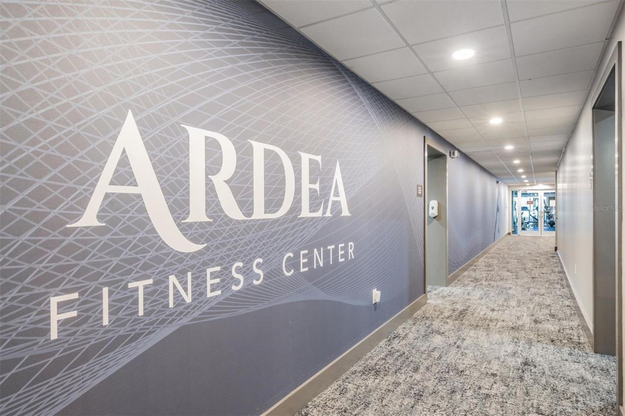 1244 Greybrooke Place, Oldsmar, FL 34677 Photo