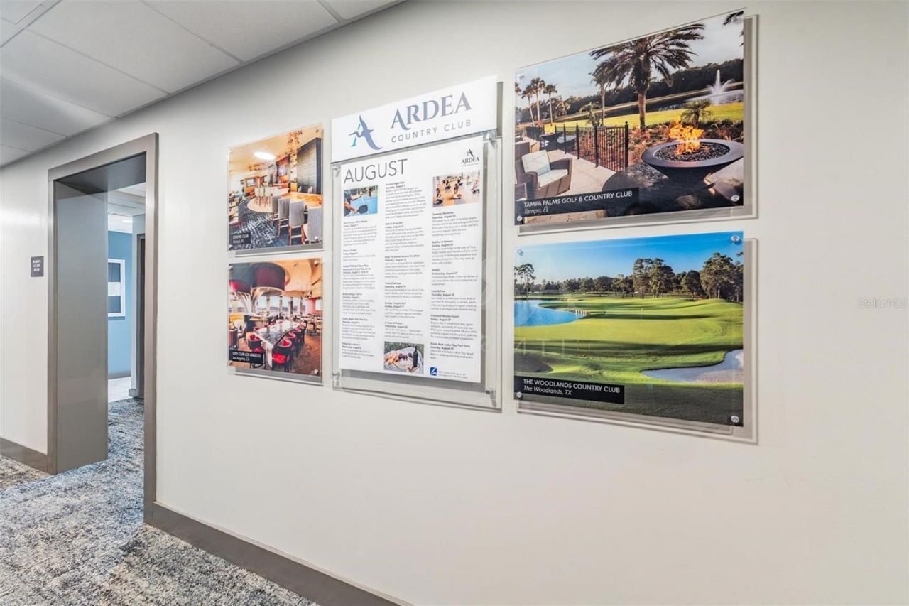 1244 Greybrooke Place, Oldsmar, FL 34677 Photo