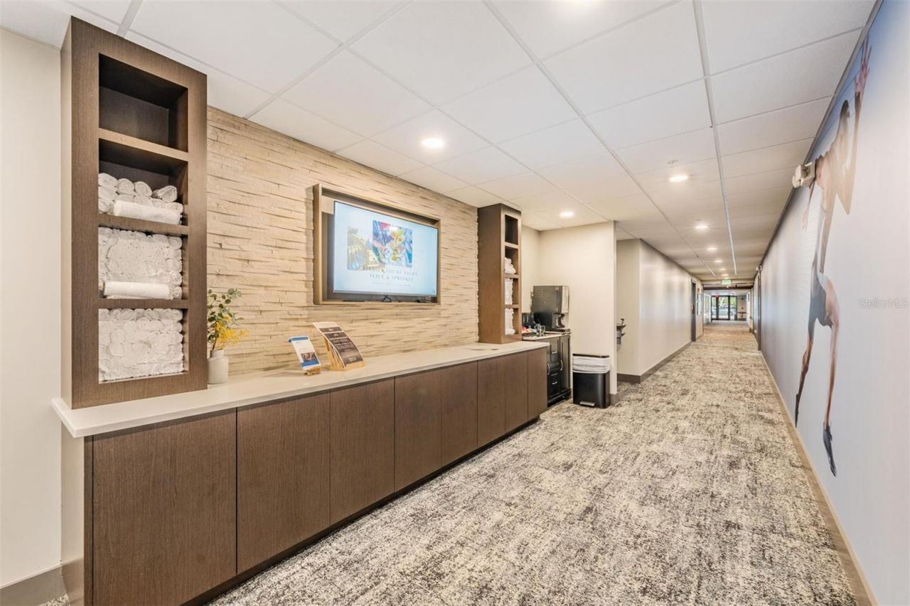 1244 Greybrooke Place, Oldsmar, FL 34677 Photo