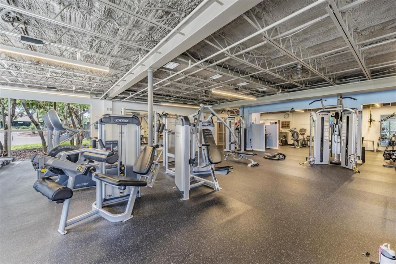 1244 Greybrooke Place, Oldsmar, FL 34677 Photo