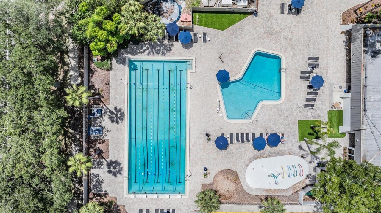 1244 Greybrooke Place, Oldsmar, FL 34677 Photo