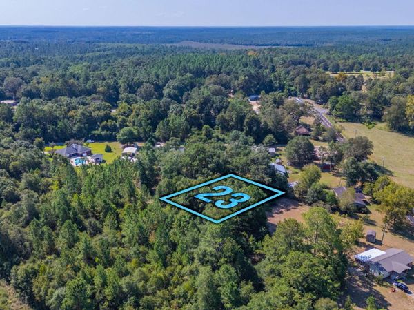 LOT 23 Blueberry Drive, Laurel Hill, FL 32567
