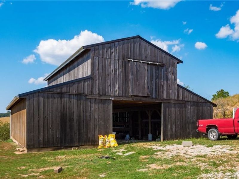 18513 Hobbler Lane, Lore City, OH 43755 Photo 31