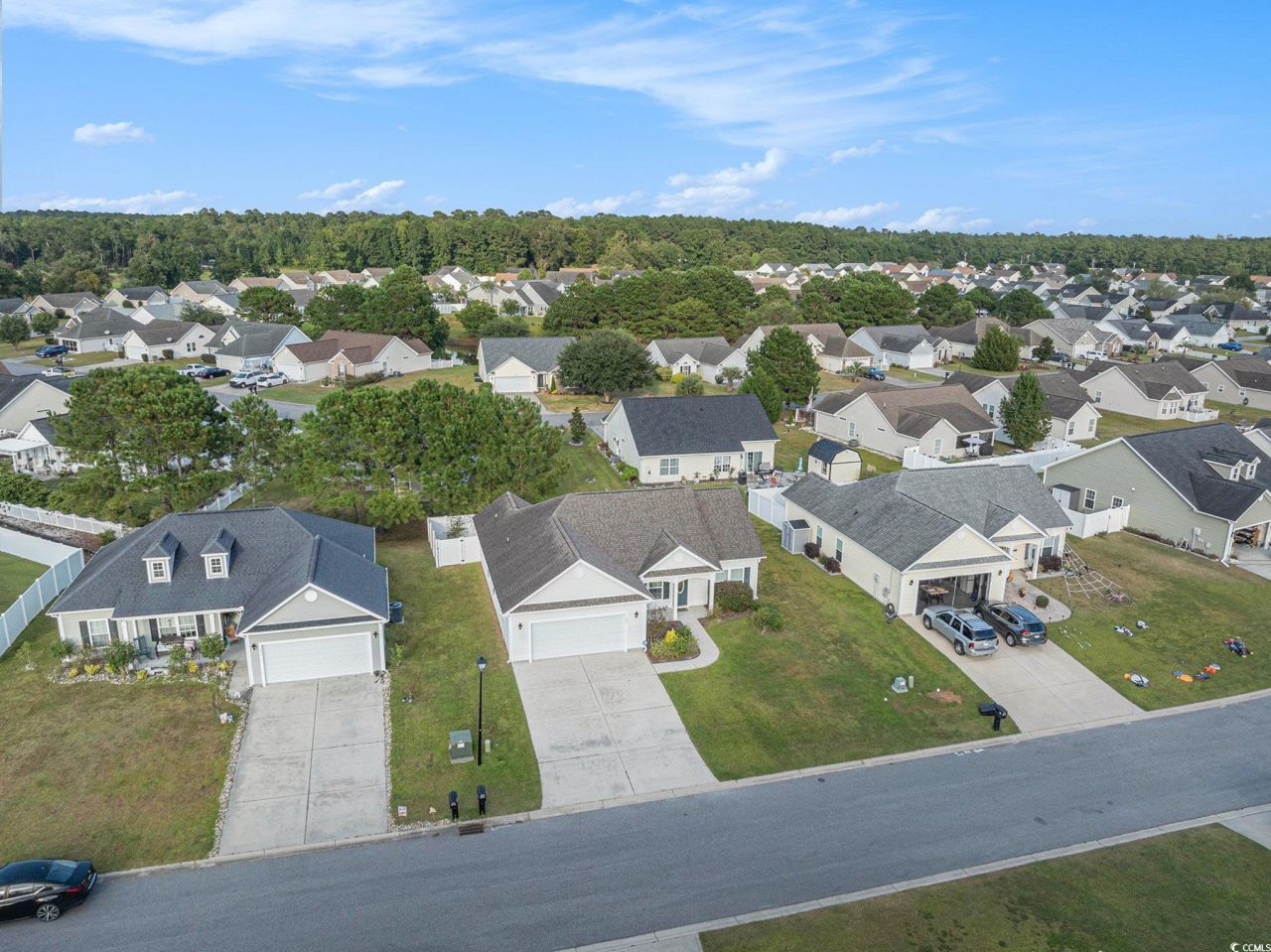 542 Irees Way Photo 30