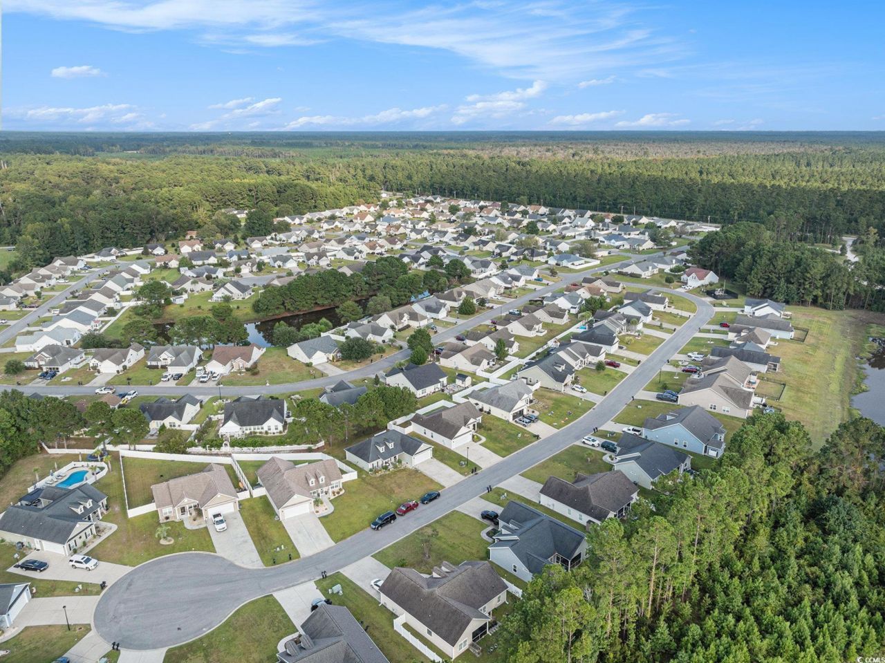 542 Irees Way Photo 32