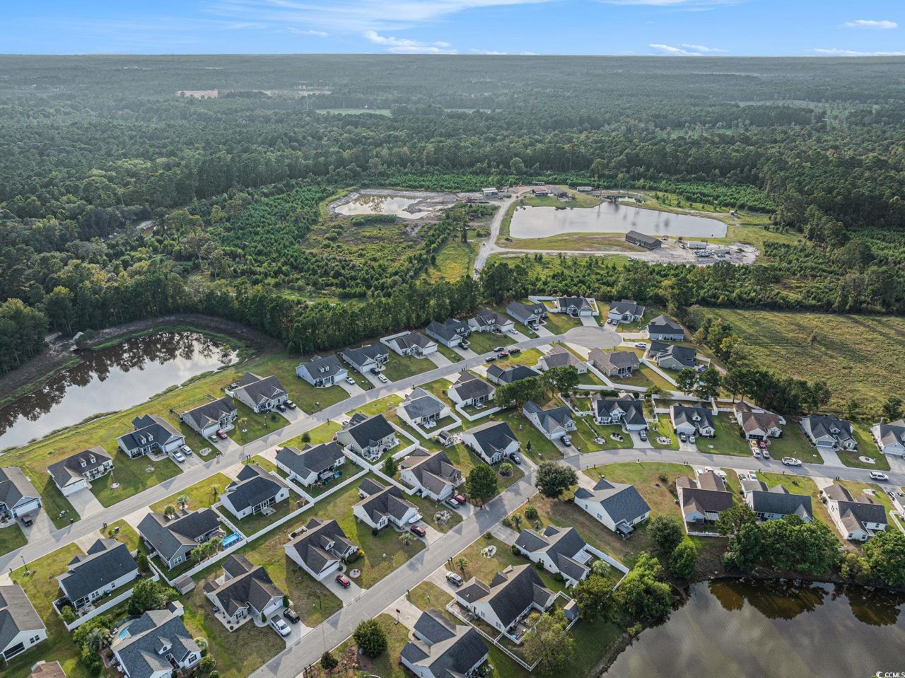 542 Irees Way Photo 33