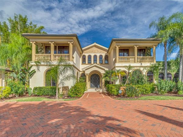 117 BELLAMERE PALMS COURT, LUTZ, FL 33549