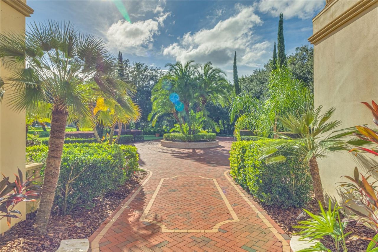 117 Bellamere Palms Court, Lutz, FL 33549 Photo