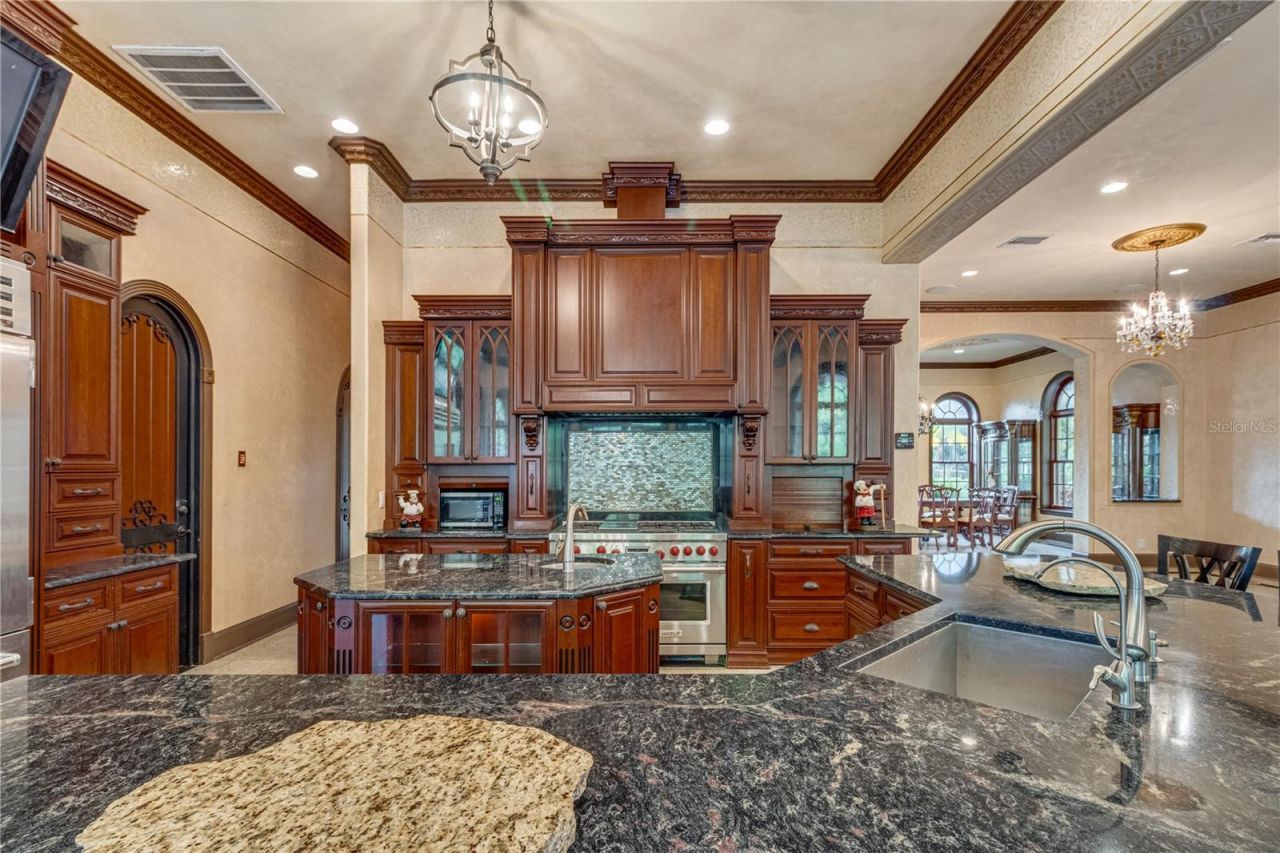 117 Bellamere Palms Court, Lutz, FL 33549 Photo