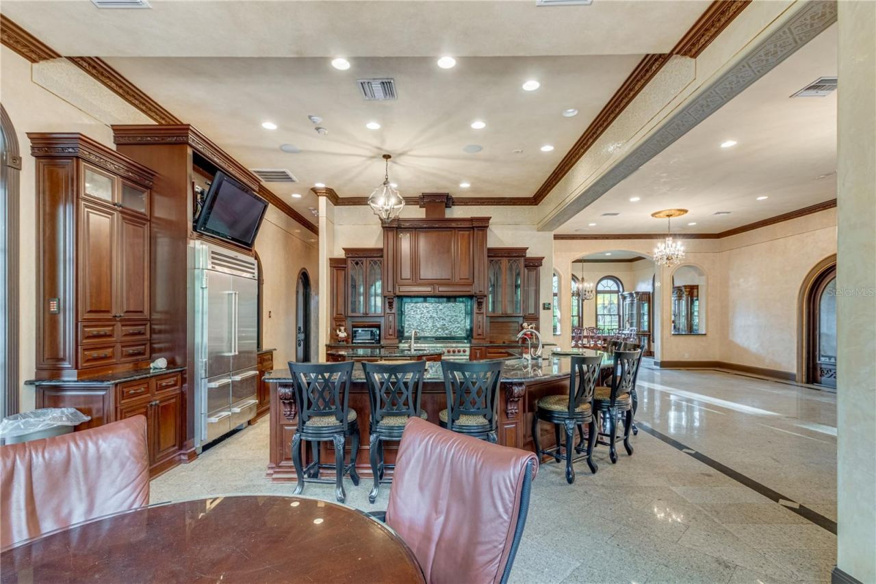 117 Bellamere Palms Court, Lutz, FL 33549 Photo