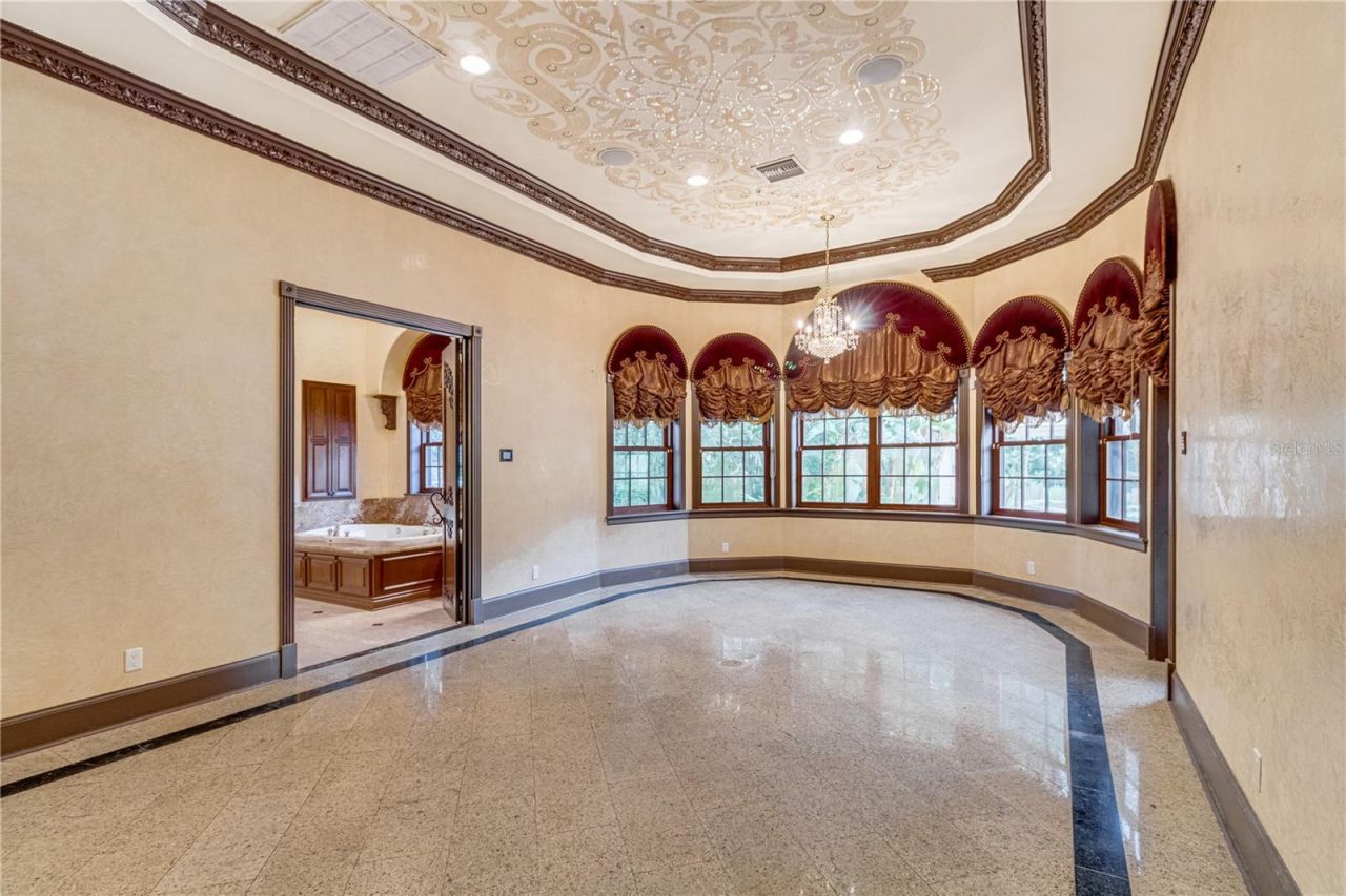 117 Bellamere Palms Court, Lutz, FL 33549 Photo