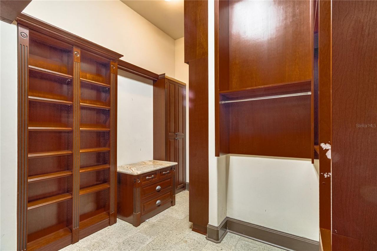 117 Bellamere Palms Court, Lutz, FL 33549 Photo