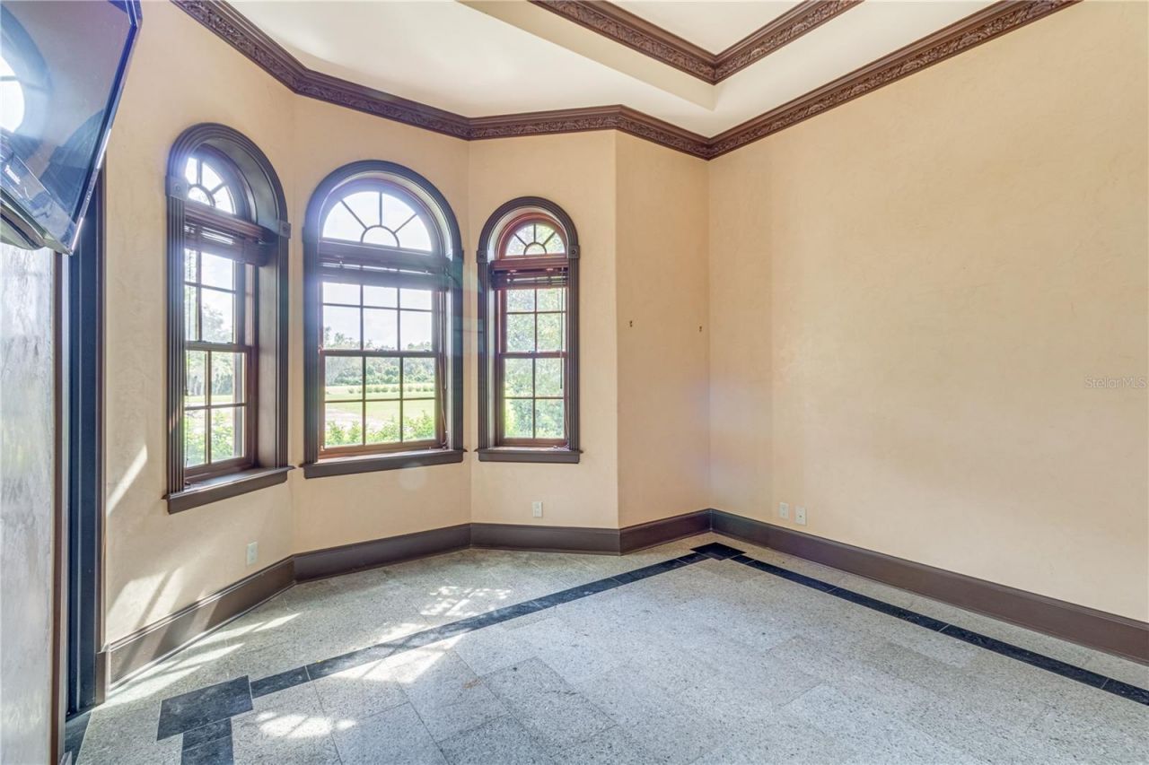 117 Bellamere Palms Court, Lutz, FL 33549 Photo