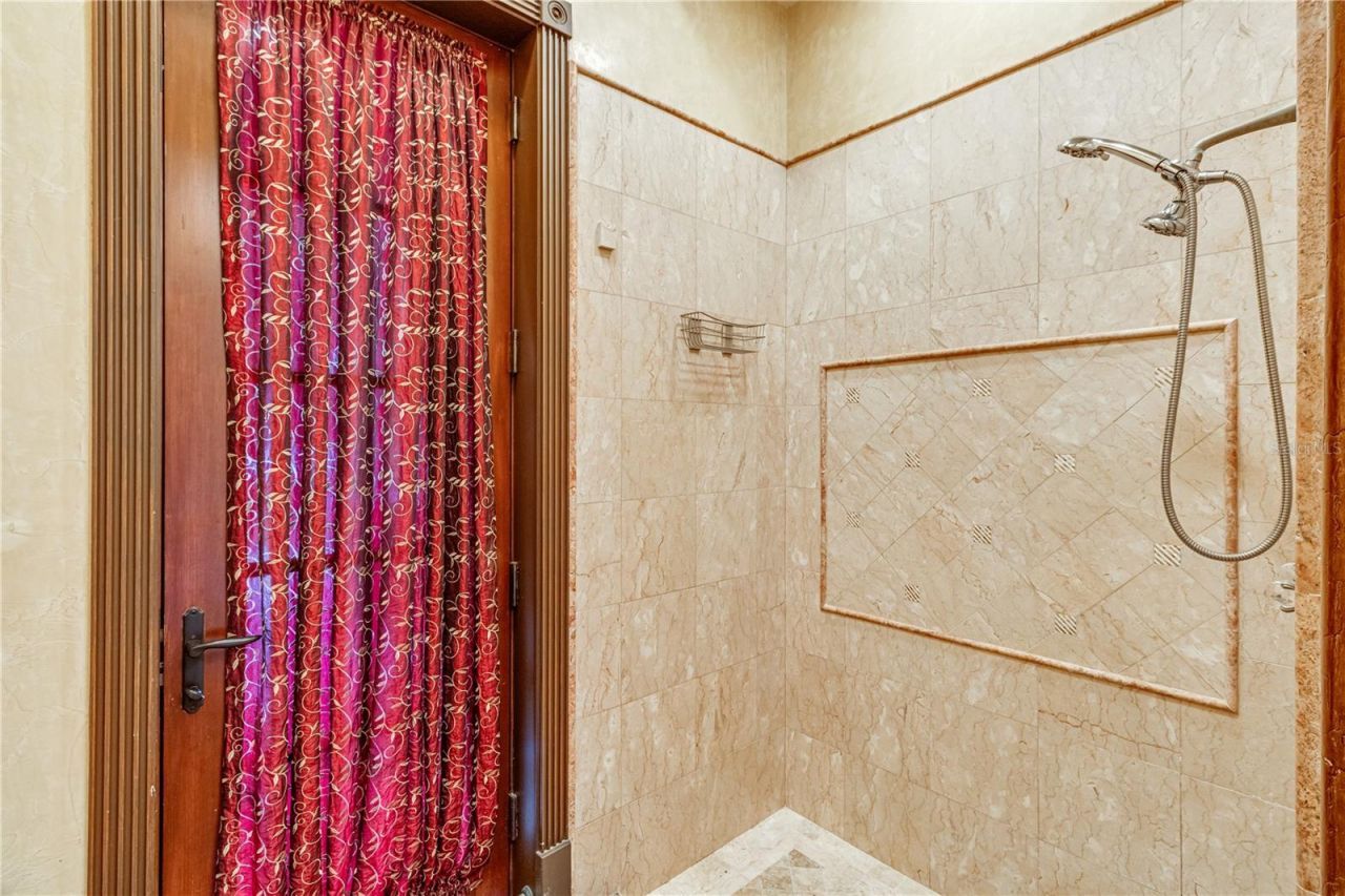 117 Bellamere Palms Court, Lutz, FL 33549 Photo