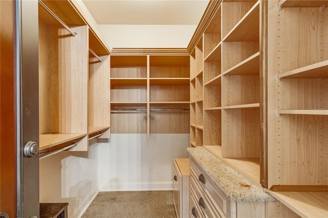 117 Bellamere Palms Court, Lutz, FL 33549 Photo