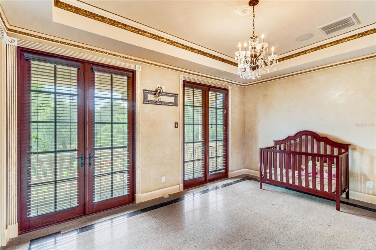 117 Bellamere Palms Court, Lutz, FL 33549 Photo