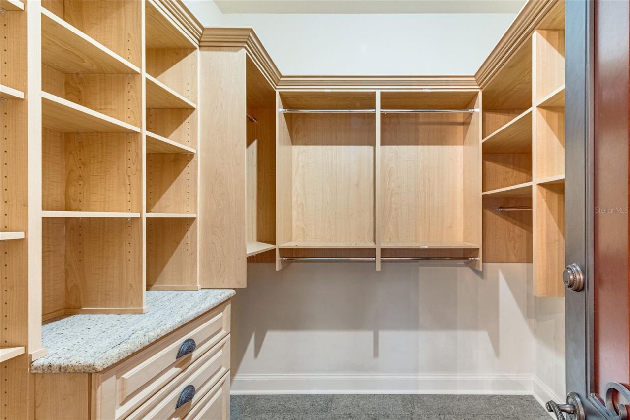 117 Bellamere Palms Court, Lutz, FL 33549 Photo