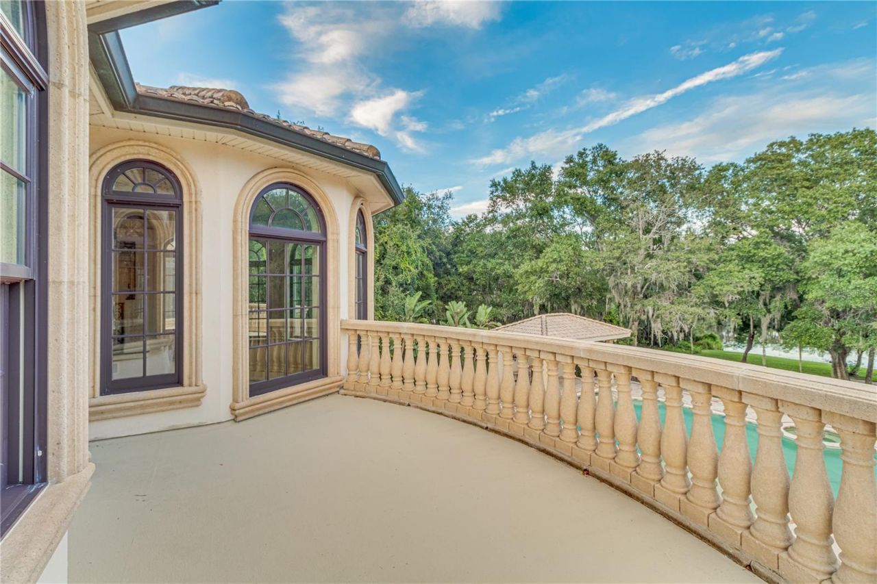 117 Bellamere Palms Court, Lutz, FL 33549 Photo