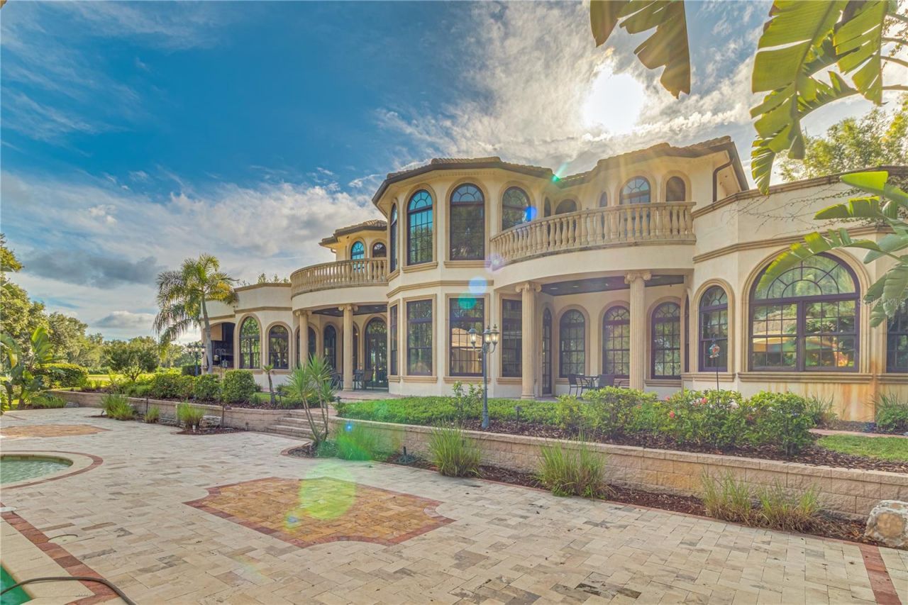 117 Bellamere Palms Court, Lutz, FL 33549 Photo