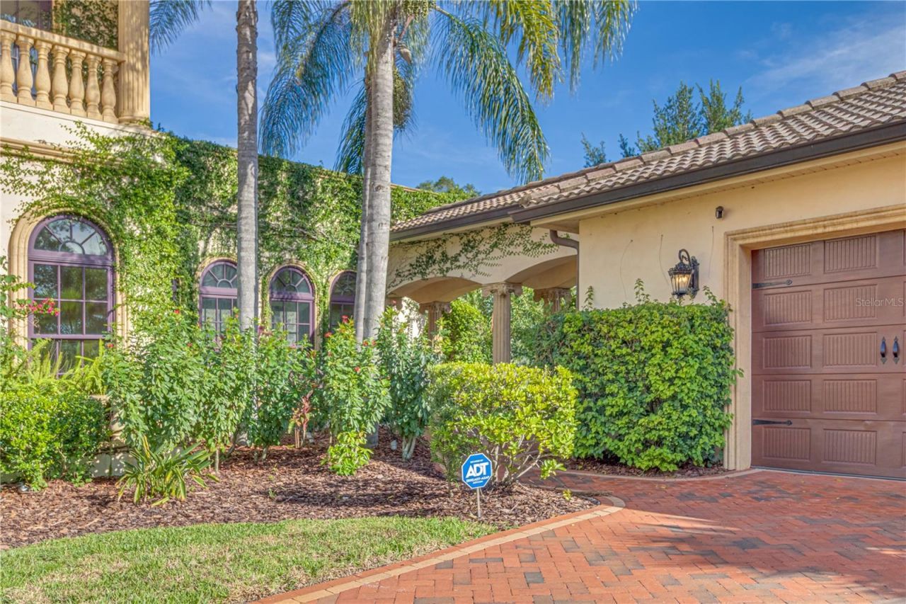 117 Bellamere Palms Court, Lutz, FL 33549 Photo