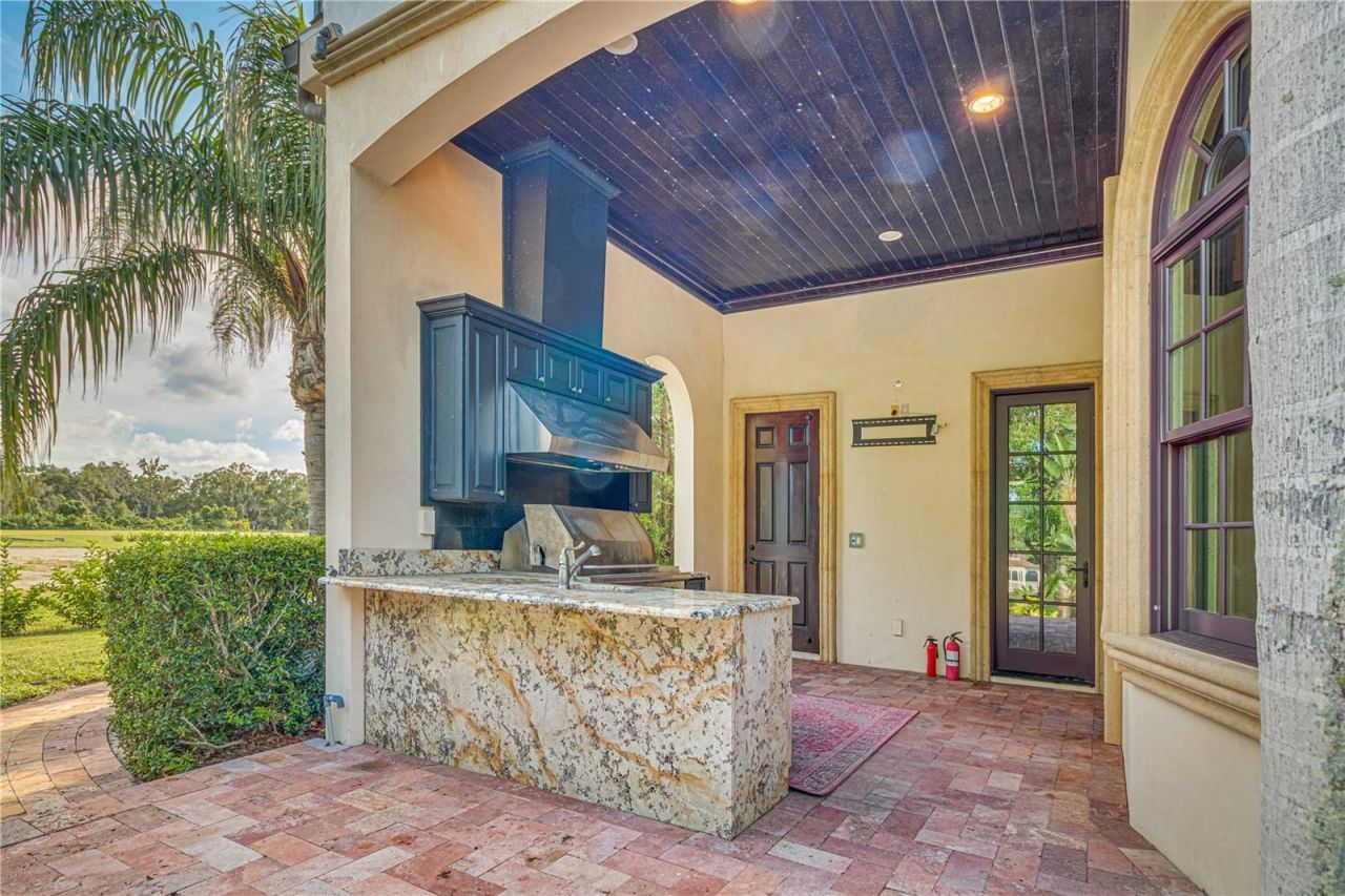 117 Bellamere Palms Court, Lutz, FL 33549 Photo