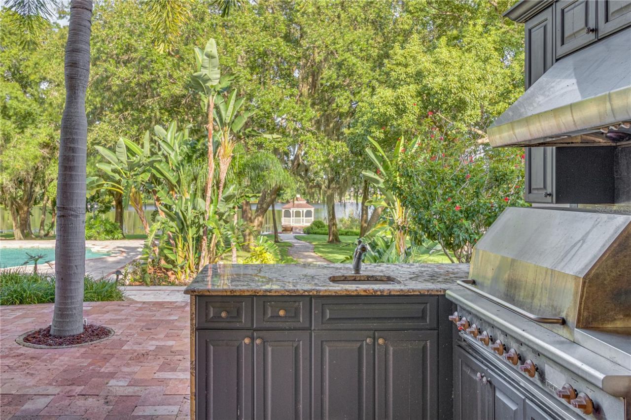 117 Bellamere Palms Court, Lutz, FL 33549 Photo