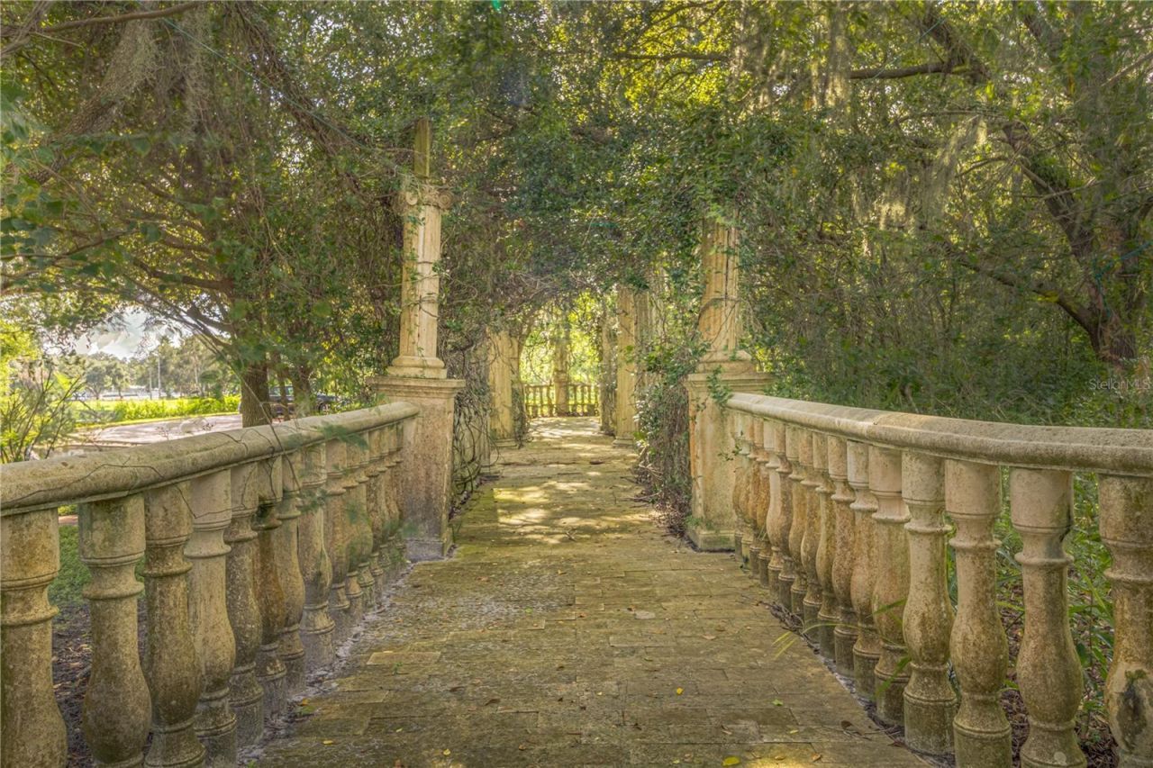 117 Bellamere Palms Court, Lutz, FL 33549 Photo