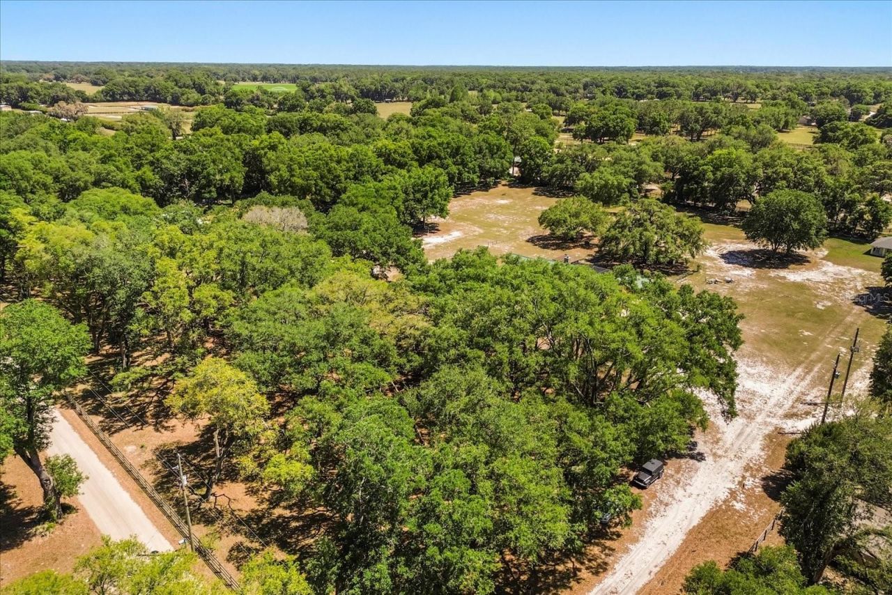 1084 SE 170th Street, Summerfield, FL 34491 Photo