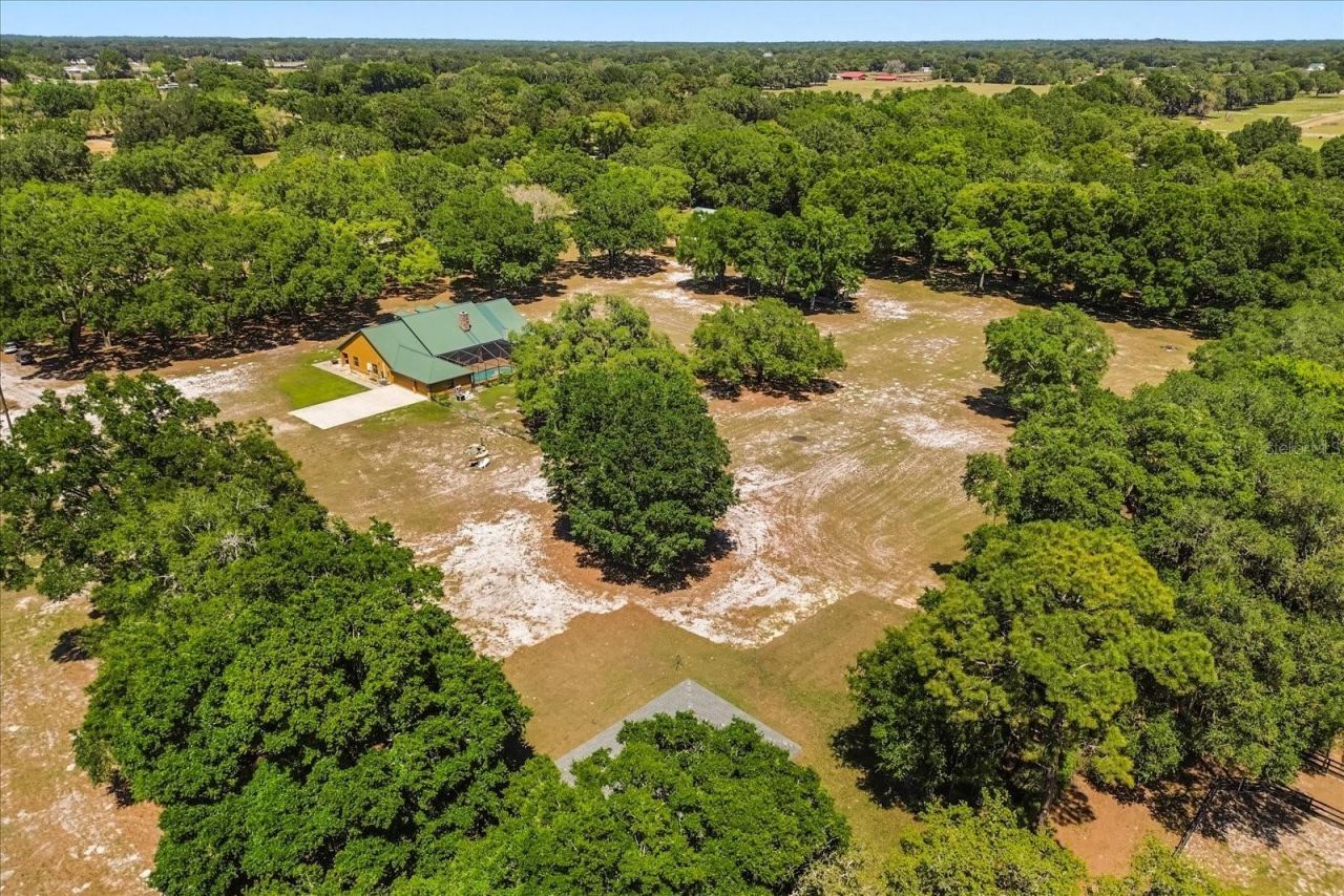 1084 SE 170th Street, Summerfield, FL 34491 Photo