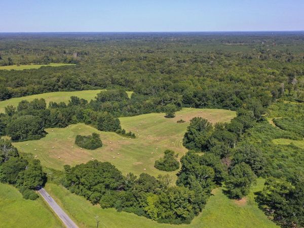 Clifton Road, Forest, MS 39074