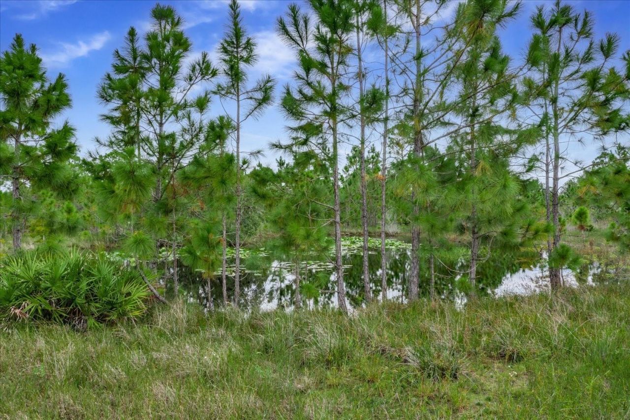 30 Milky Way, Venus, FL 33960 Photo