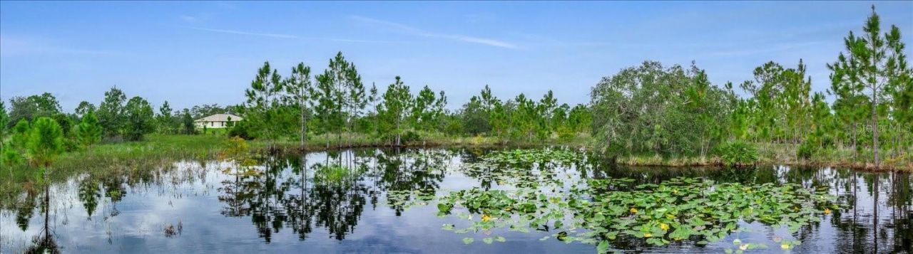 30 Milky Way, Venus, FL 33960 Photo