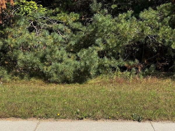 217 Berkshire Lane, Gaylord, MI 49735