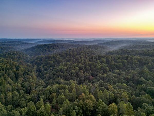 1 Ccc Road, Fairview, TN 37062