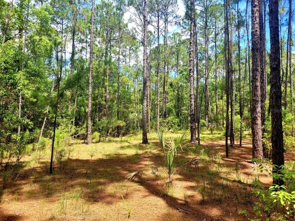 TBD TROPICAL DRIVE, EUSTIS, FL 32726