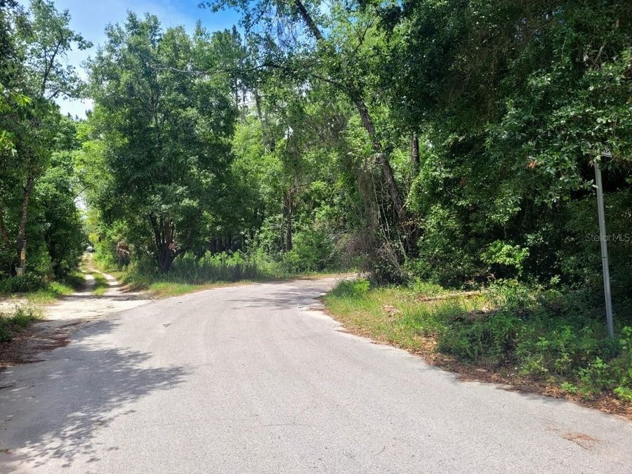 Property Image 19