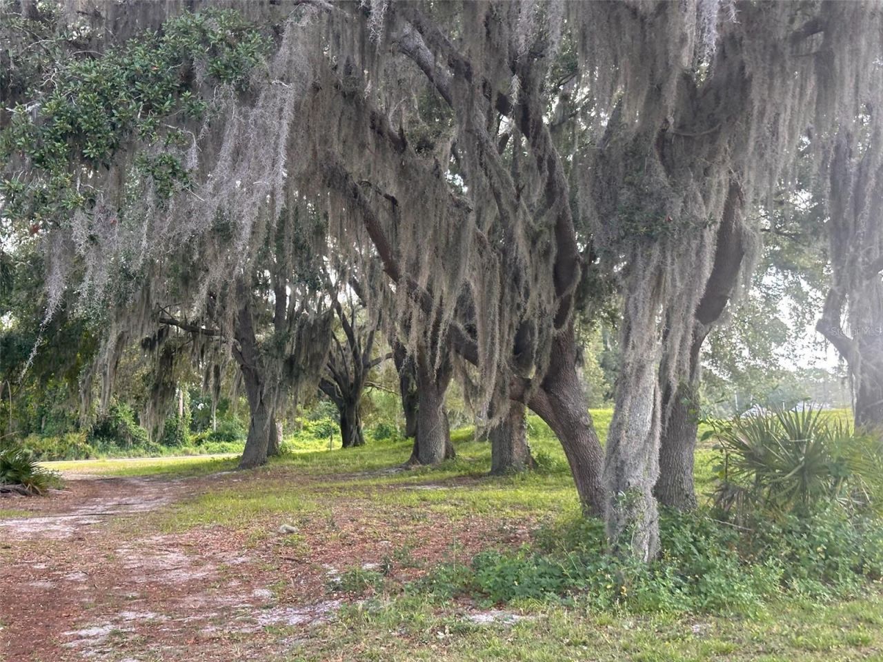 3455 E Fairway Vista Drive, Avon Park, FL 33825 Photo