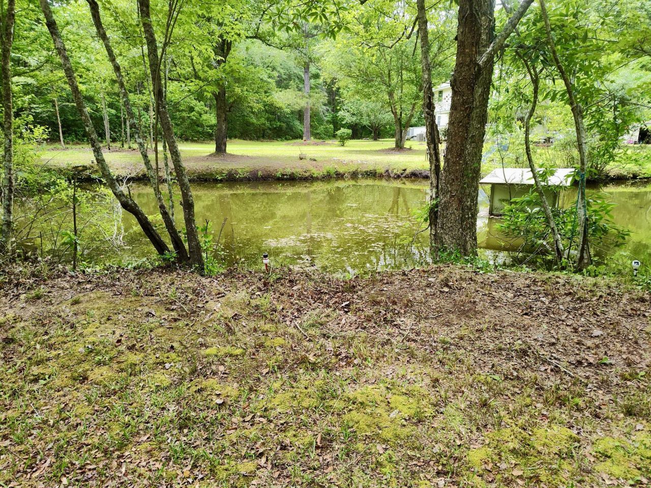 2401 Cannon Road Photo 10