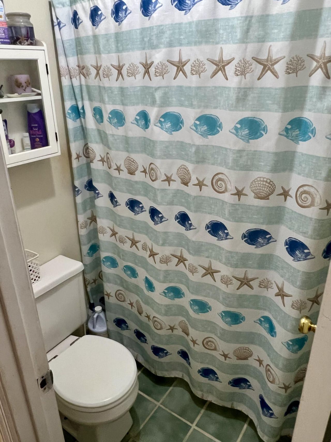 2401 Cannon Road Photo 33