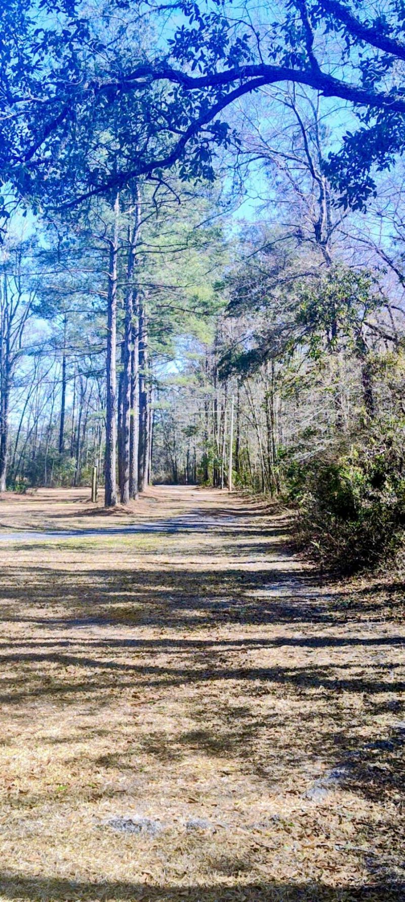 2401 Cannon Road Photo 43