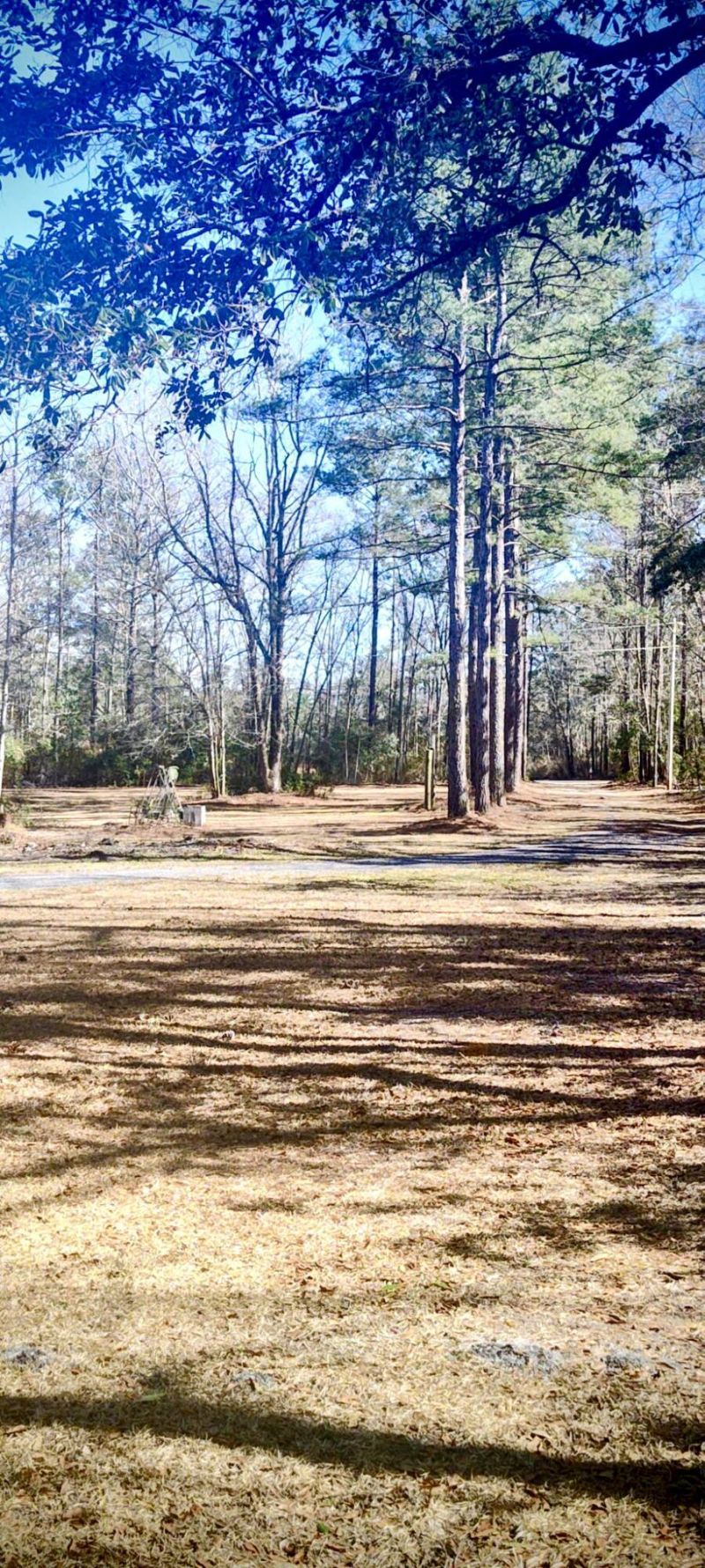 2401 Cannon Road Photo 44