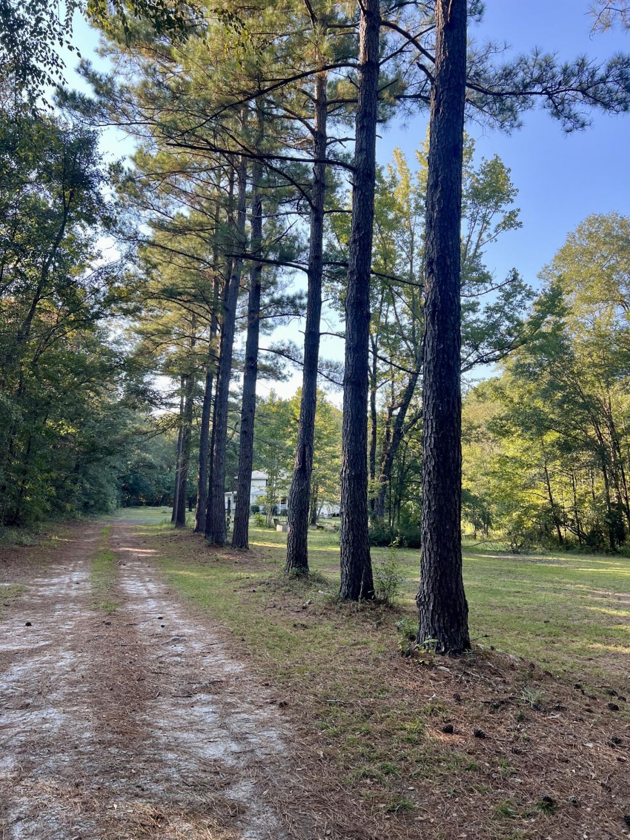 2401 Cannon Road Photo 46