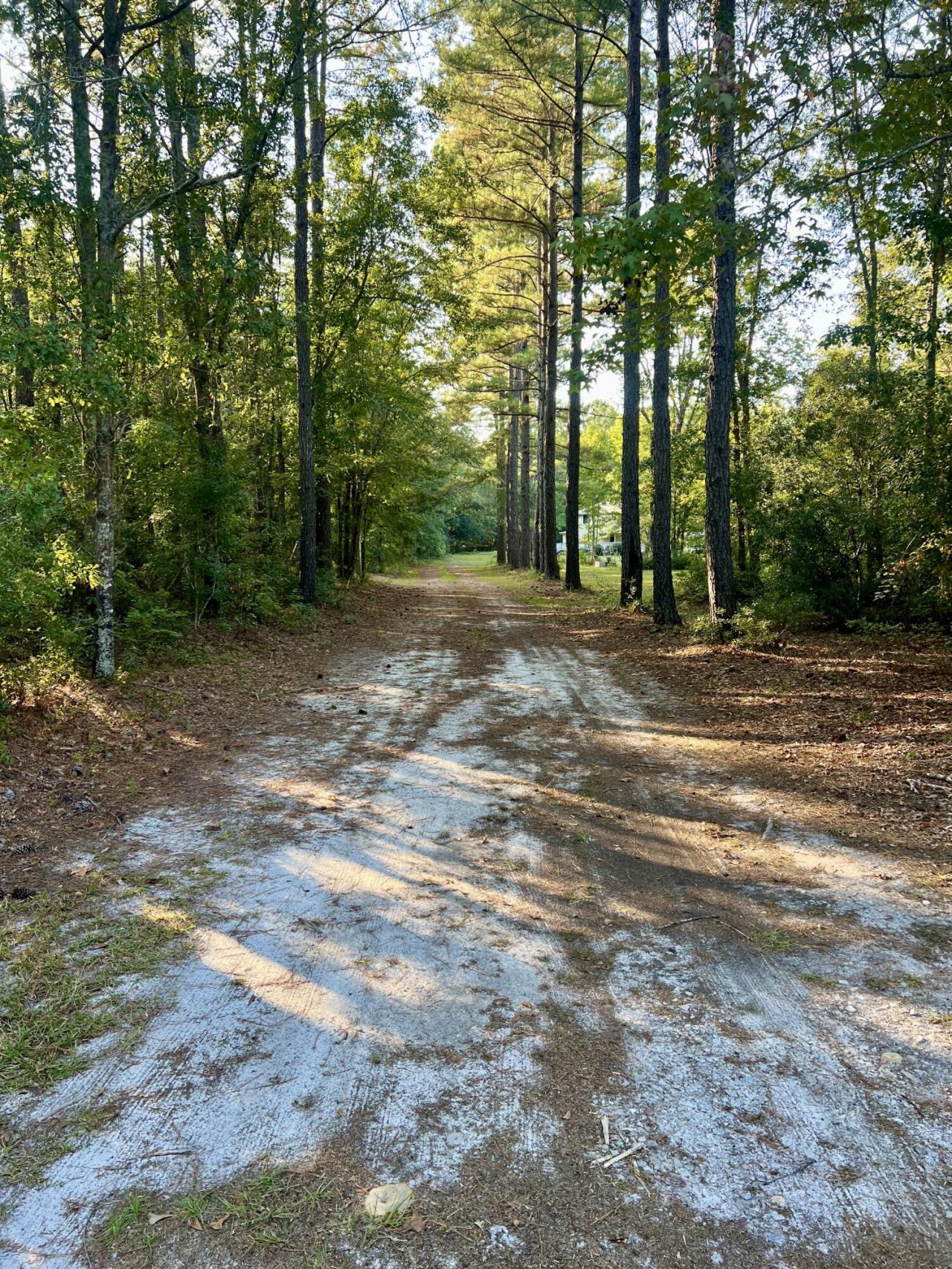 2401 Cannon Road Photo 47