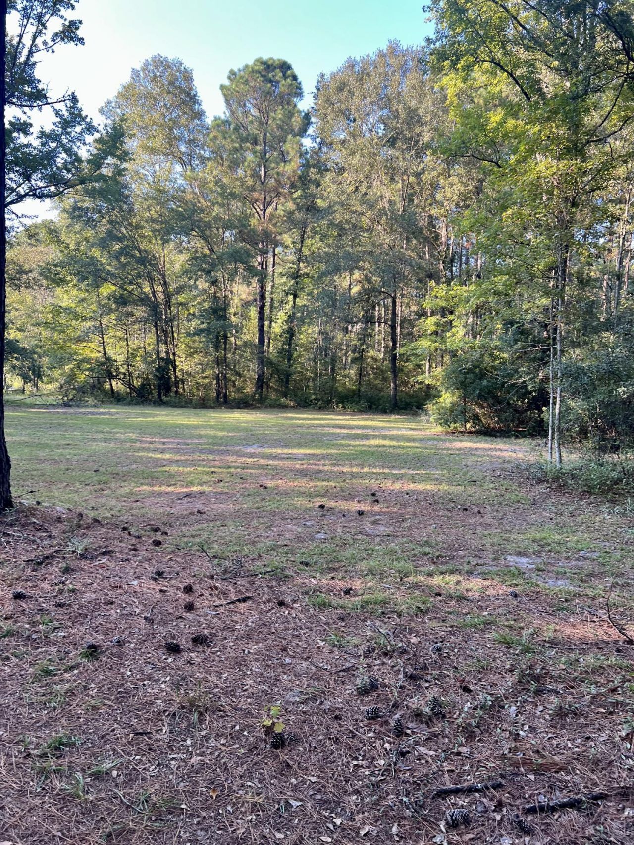 2401 Cannon Road Photo 51