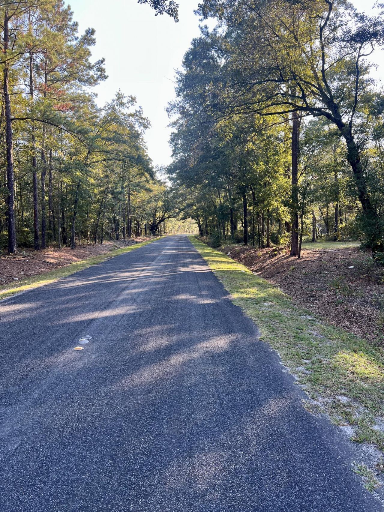 2401 Cannon Road Photo 57