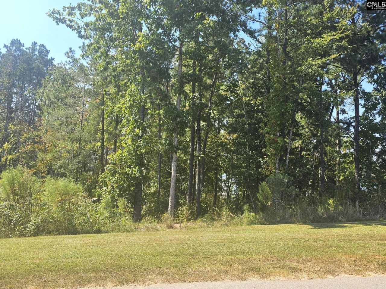 Lot # 30 Longview Drive Photo 8