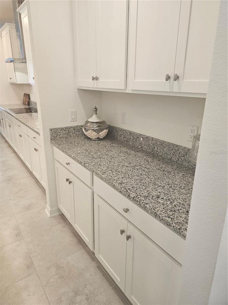 2450 Sunny Pebble Loop, Zephyrhills, FL 33540 Photo