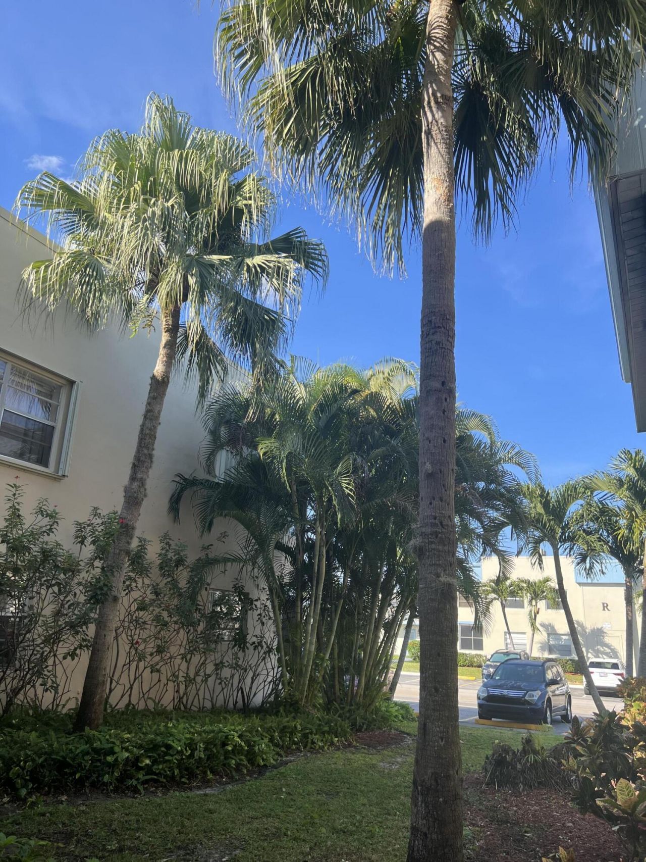 886 Flanders S, Delray Beach, FL 33484 Photo