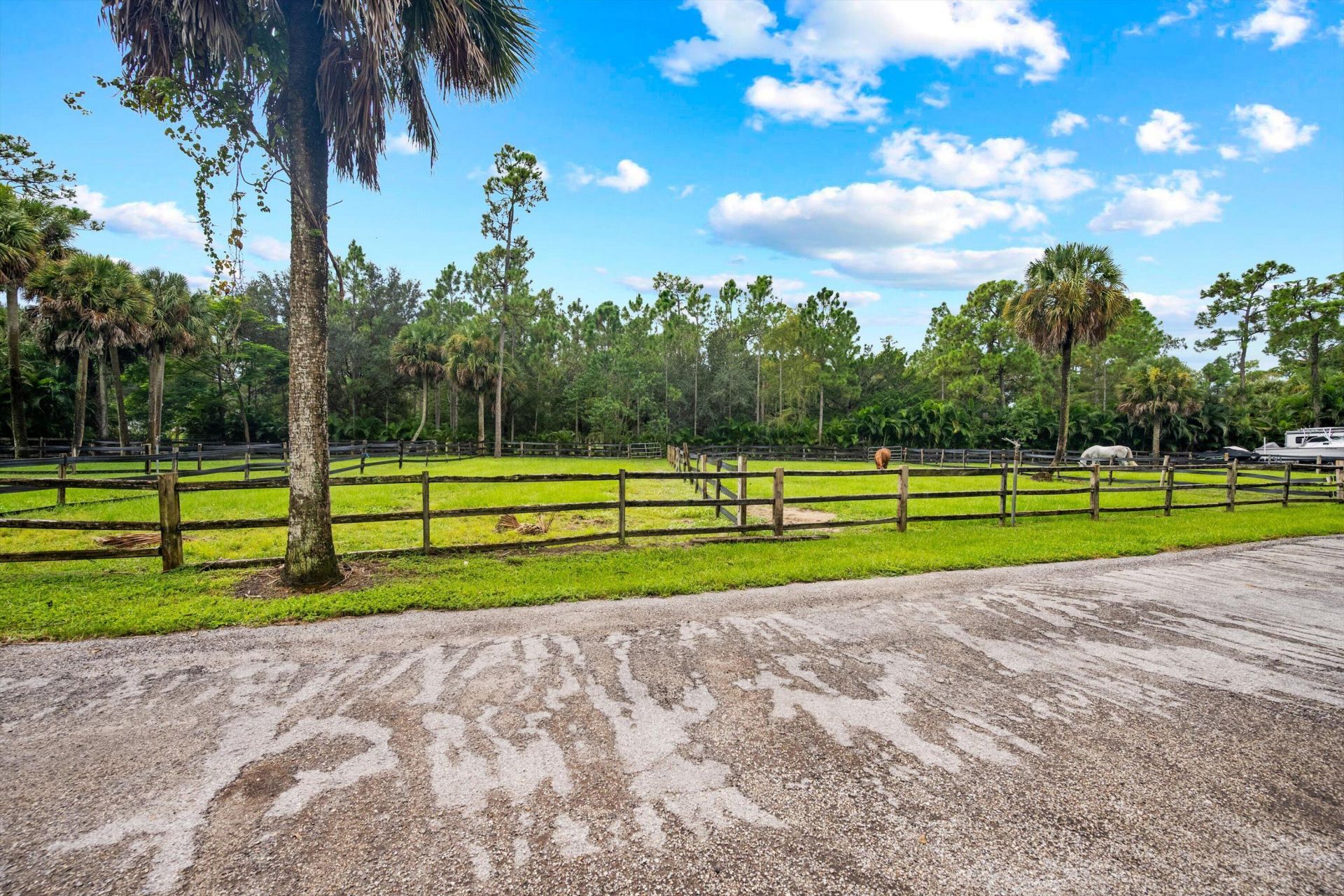 2915 Doe Trail, The Acreage, FL 33470 Photo